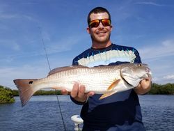 An angler holding a large redfish caught in Crystal River