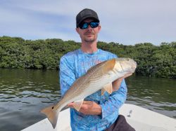 Redfish caught while fishing in Crystal River
