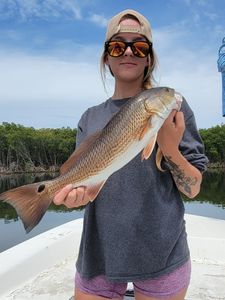Redfish caught while fishing in Crystal River