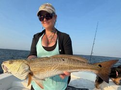 Redfish caught while fishing in Crystal River