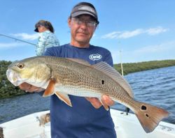 A fisherman reeling in a Redfish in Florida