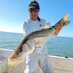 A large snook fish caught fishing in FL