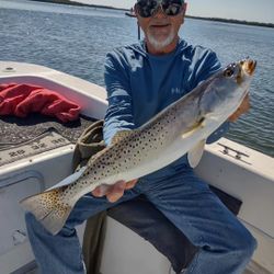 Spotted weakfish caught in Crystal River