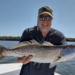 Spotted Weakfish caught while fishing in Crystal River
