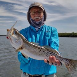 Photograph of a spotty weakfish caught in Crystal River