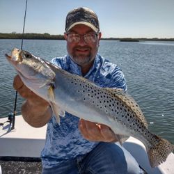 Spotted Weakfish, 23 inches, caught fishing in FL