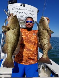 Two gag grouper fish caught in Crystal River