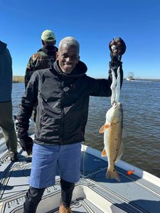 Big Catches in Hopedale, Louisiana