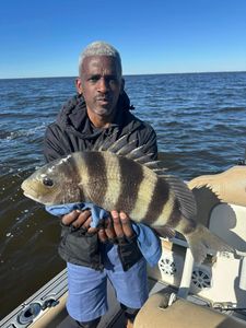 Sheepshead Fishing Thrills in Hopedale, LA