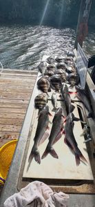 Freshwater Fishing in Hopedale