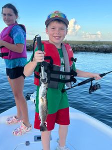 Speckle Trout from Hopedale, Louisiana