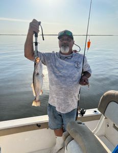 2lb Speckled Trout
