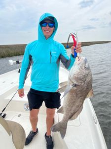 Angler with a huge black drum fish in Hopedale