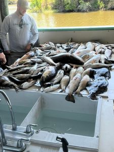 Angler with 17-inch catch in LA