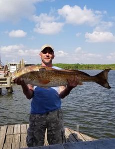 1 angler fishing in LA
