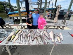 3 blue and channel catfish in Hopedale