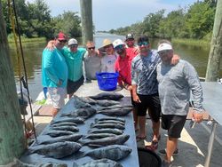 Three big black drum fish caught on a fishing tour in LA
