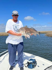 Photograph of a 20-inch Black Drum fish caught while fishing in LA
