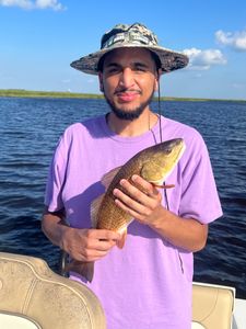 One fish caught in LA, fishing tours