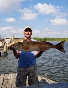 Angler catching big fish in Hopedale during fishing tour