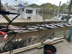 Hopedale fishing and tours adventure