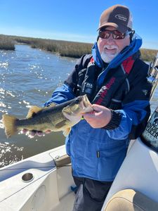 Hopedale fishing and tours