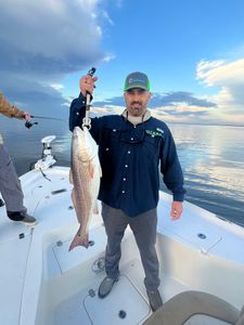 Redfish caught in Hopedale, fishing tours