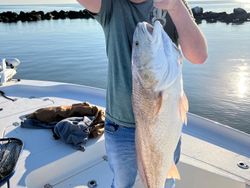 Fishing tour in LA
