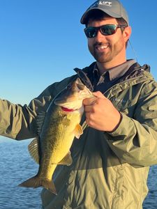 Largemouth bass caught while fishing in LA