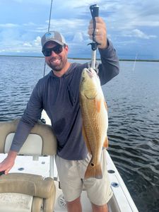 Redfish caught in Hopedale, Louisiana