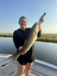 Nice redfish using light tackle in Hopedale!