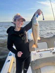 Redfish caught in LA during fishing tour