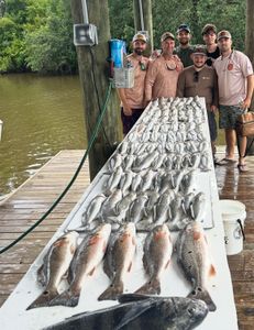 Four redfish caught on fishing tour in LA