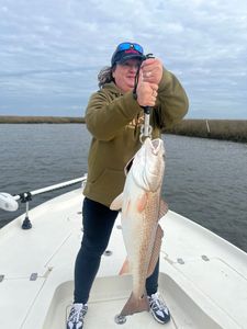 Redfish caught during fishing tour in LA