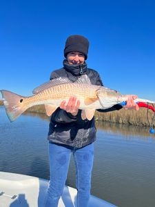 Redfish caught by angler in Hopedale