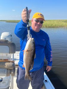 Redfish caught while fishing in Hopedale