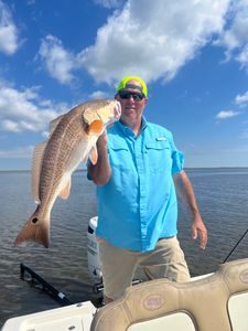Redfish caught in Hopedale, Louisiana