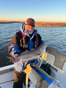 Redfish caught on fishing tour in LA