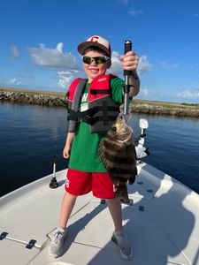 Sheepshead fish caught in LA during fishing tour