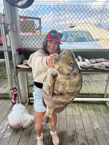 Sheepshead fish caught on fishing tour in LA