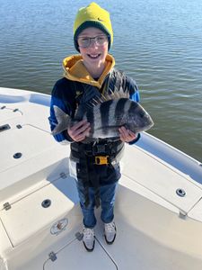 Sheepshead fish caught in LA
