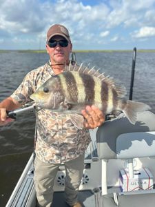 A sheepshead fish caught while fishing in Hopedale