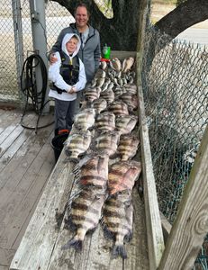 Three sheepshead fish, a great fishing trip in LA