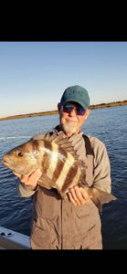 Sheepshead fish caught during fishing tour in Hopedale