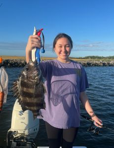 Sheepshead fish caught in Hopedale