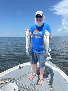 2 spotted weakfish caught on a fishing tour in Hopedale