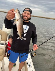 Spotted weakfish, 16 inch fish caught during fishing tour in LA