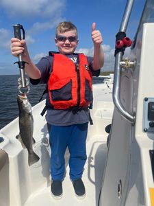 Spotted Weakfish caught during a fishing tour in LA