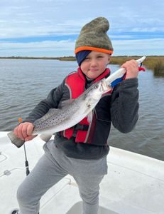Spotted weakfish, 14 inches, fishing tour in LA