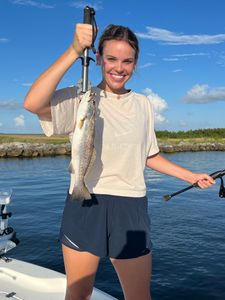 A spotted weakfish measuring 14 inches caught while fishing in LA